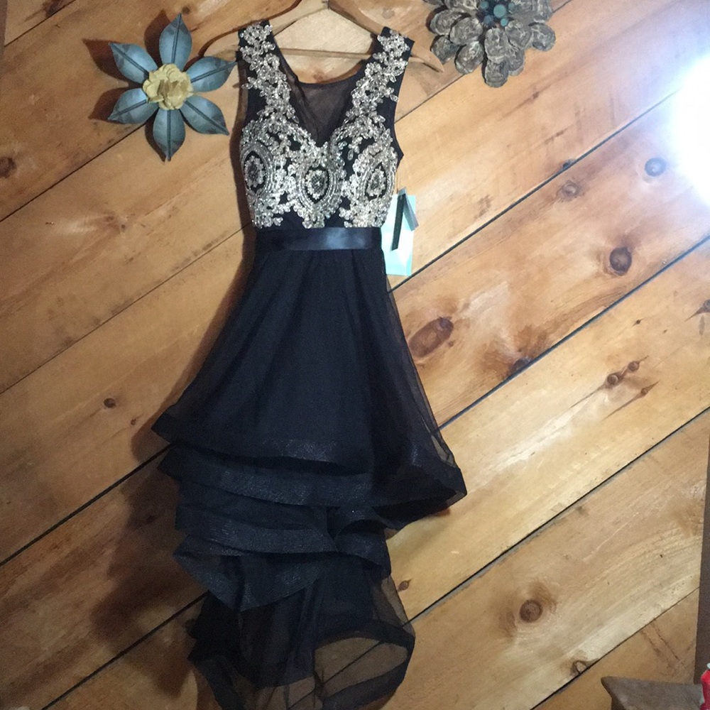 Homecoming or Prom dress